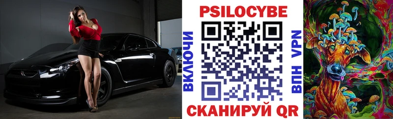 Псилоцибиновые грибы Psilocybe Сарапул