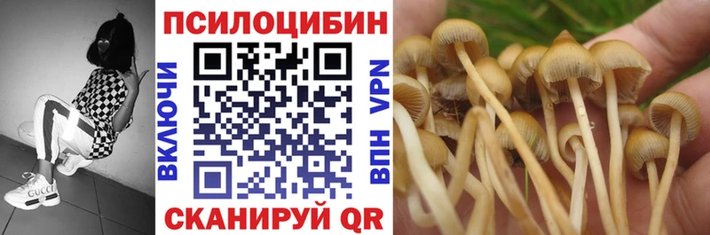 Псилоцибиновые грибы MAGIC MUSHROOMS  закладки  Сарапул 